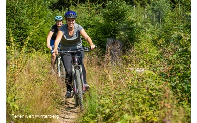 Trailpark Winterberg "Bremberg Blues"